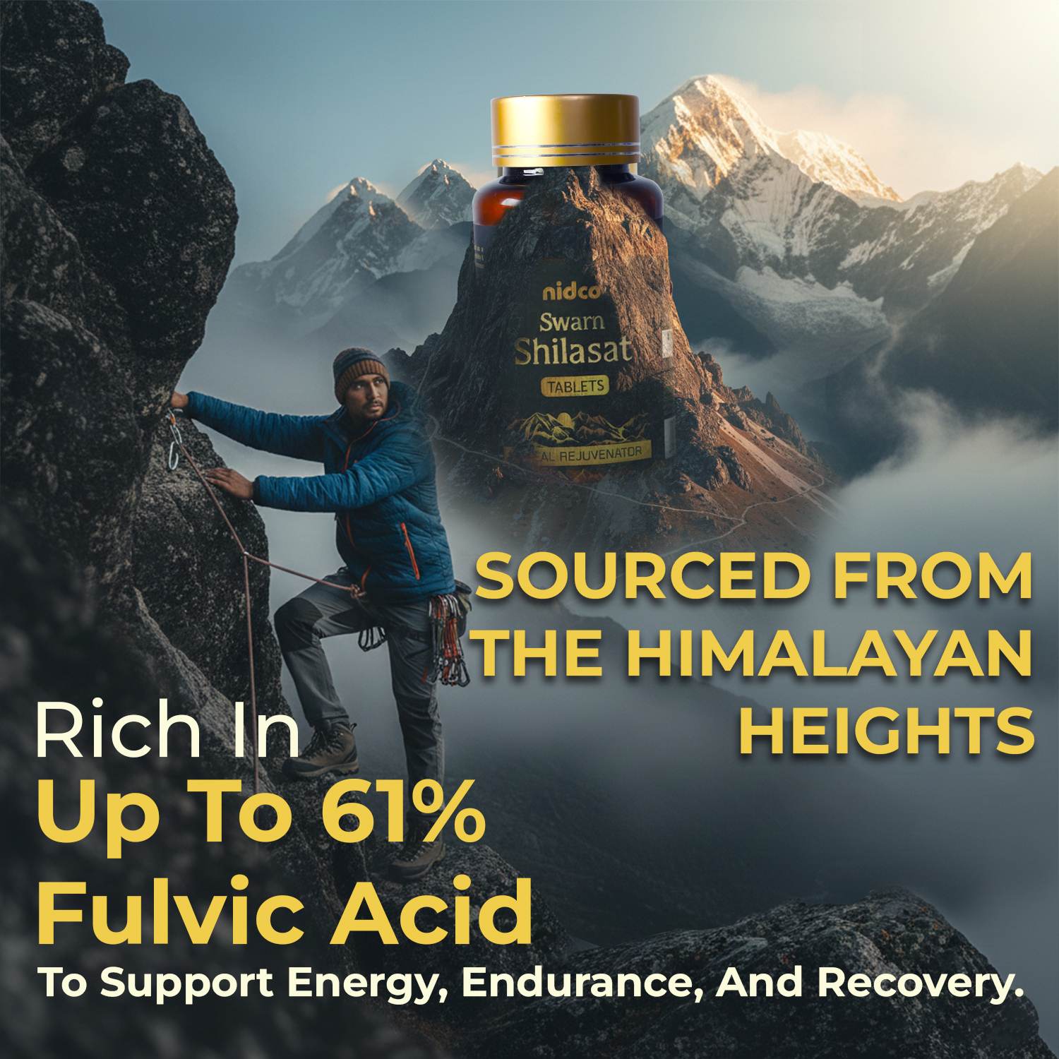 NIDCO SHILAJIT GOLD TABLETS - Image 4