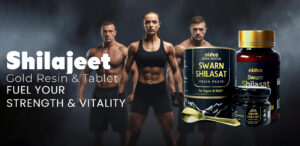 Nidco Shilajit Resin 25g and Gold Tablets for stamina - Pure Ayurvedic supplements for modern lifestyle